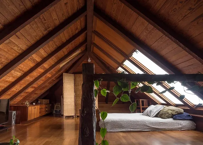 Casa Bioclimatica